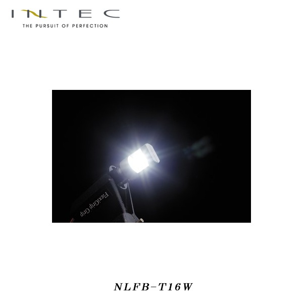 INTEC ハイパフォーマンス LED バルブ T16 ホワイト バックランプ 550lm（両側合計値） 高輝度8LED/ハイパワーSMD 保安基準適合 [NLFB-T16W]