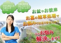 お墓の除草塩1kg