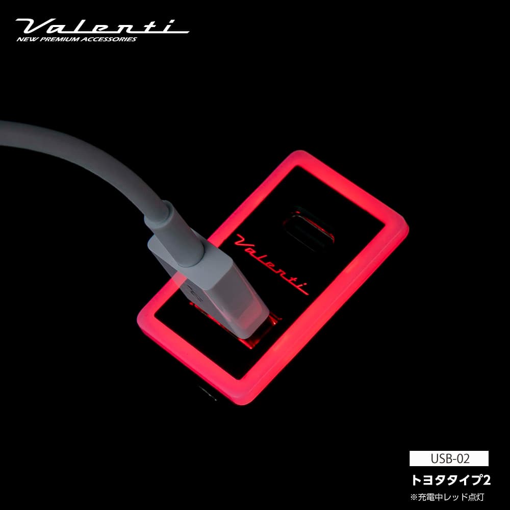 Vlenti ヴァレンティ デュアルUSBポートトヨタ用タイプ2【USB-02】