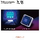 花魁 【12V車用】 LEDスクエアマーカー　ブルーレンズ （アンダーライト付き）<br>【OIRAN LED SQUARE MARKER】[OSM-BL-12]