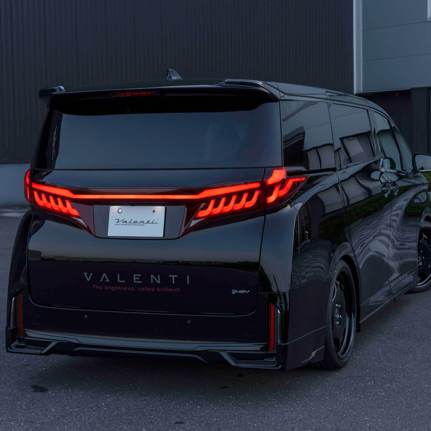 予約販売 9月下旬以降発送予定】【公式ショップ限定カラー】Valenti