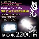 花魁 LEDフォグバルブ2 閃光 H3 6000K