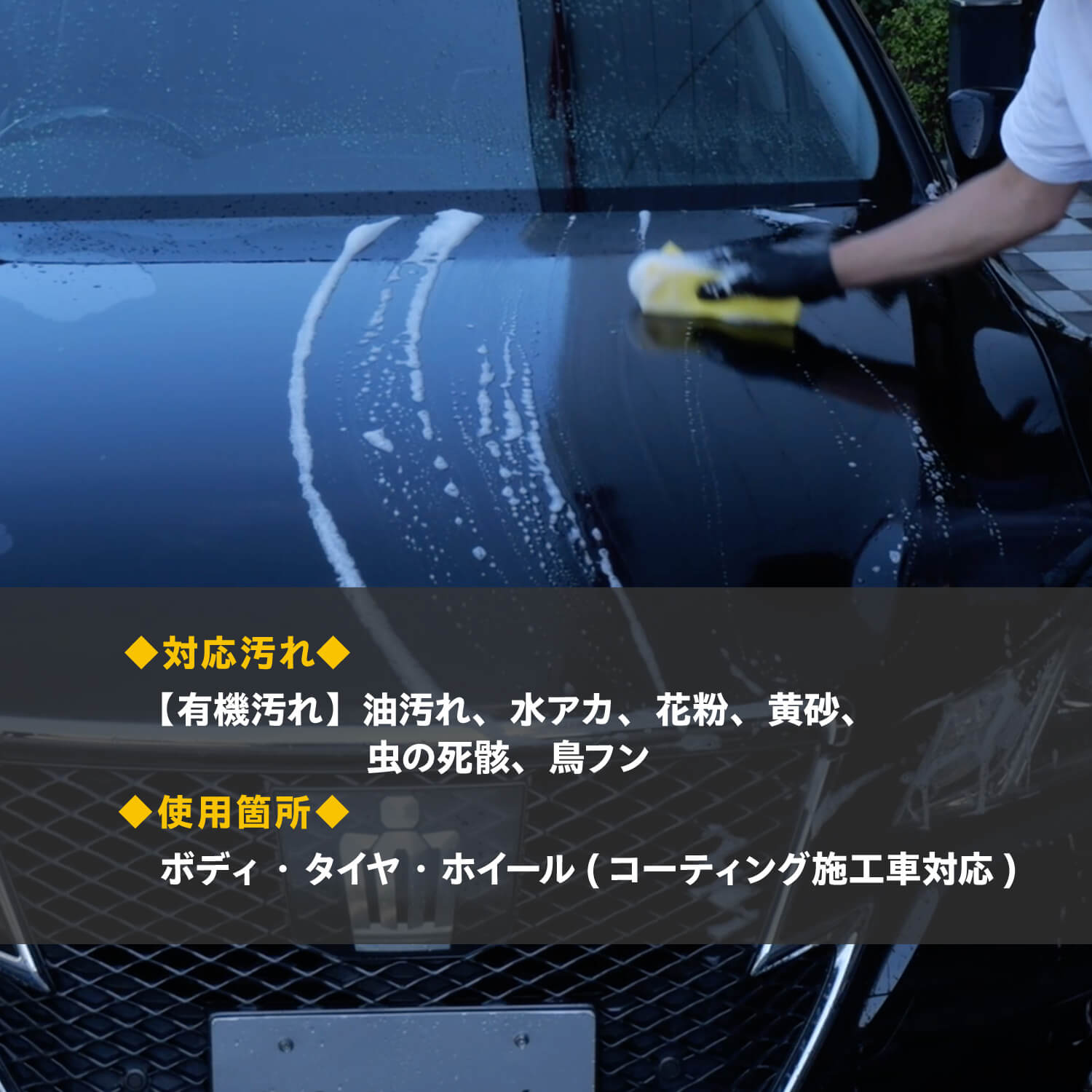 JELBO ジュエル クレシェンド アルカリシャンプー 洗車 アルカリ性