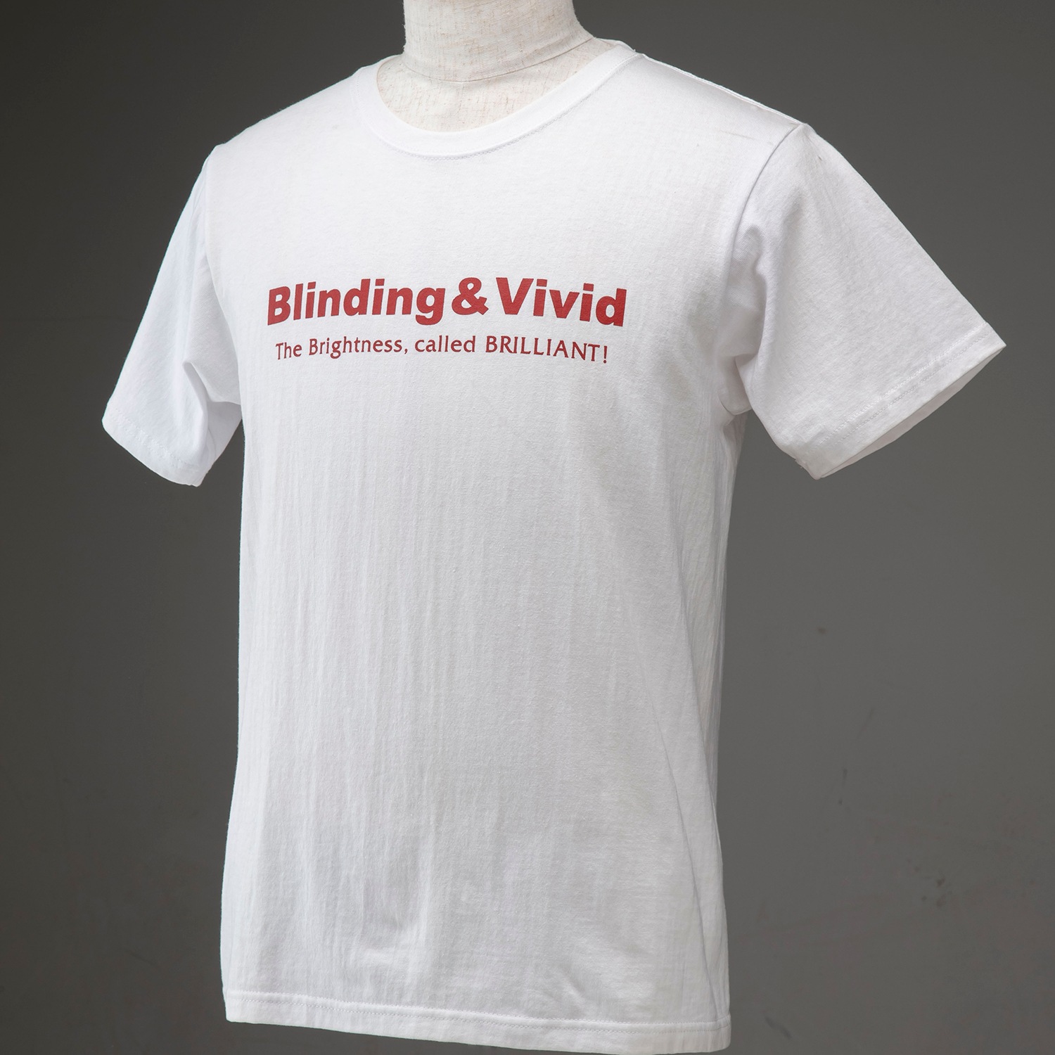 Valenti ヴァレンティ 公式ショップ限定　オリジナル半袖Tシャツ デザイン2 ストリートファッション [ATS-TS2]