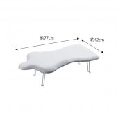 4623Сȥ륽ץ쥹ѥߥȡ77X42cm)