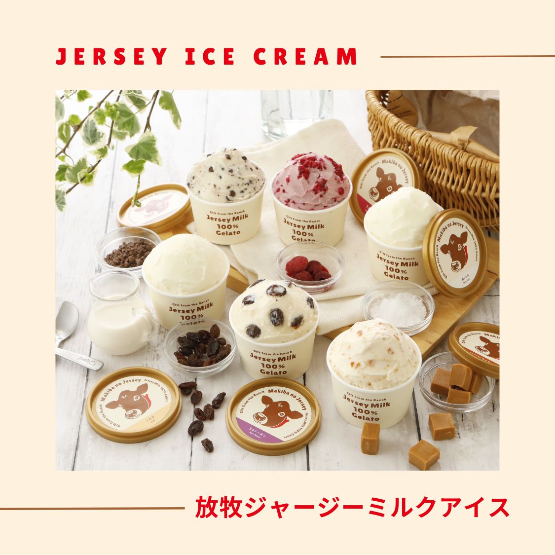 放牧ジャージー アイス 自宅用 まきばのジャージー 食べ比べ ベーシック 6個 セット