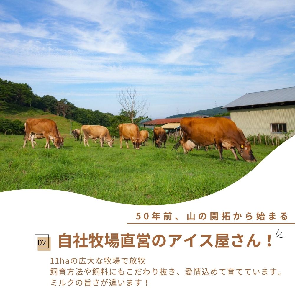 放牧ジャージー アイス 自宅用 まきばのジャージー 季節の牧場だより 6個 セット 【公式オンラインショップ限定】