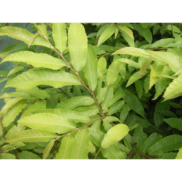 ��������ڡ�������