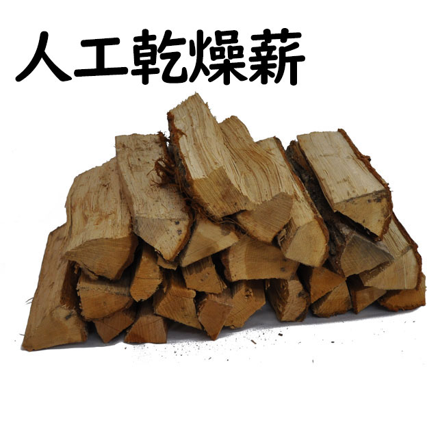 �ʿ͹�����šˡʶ�̳�ѡ˥ʥ鴥��ţ����������䡡Ȣ��