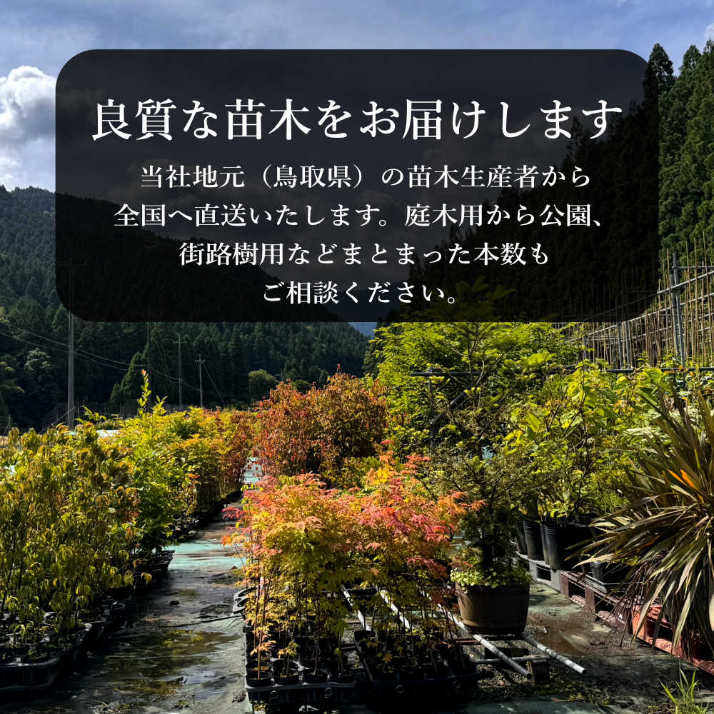 ���䥭�����ڡ�������