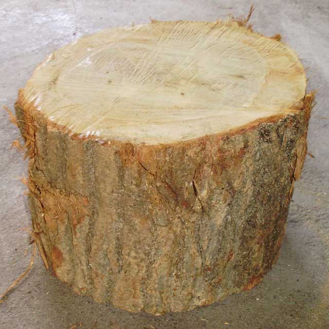 �ų���桡�ʥ顡����������߹⤵�󣲣����