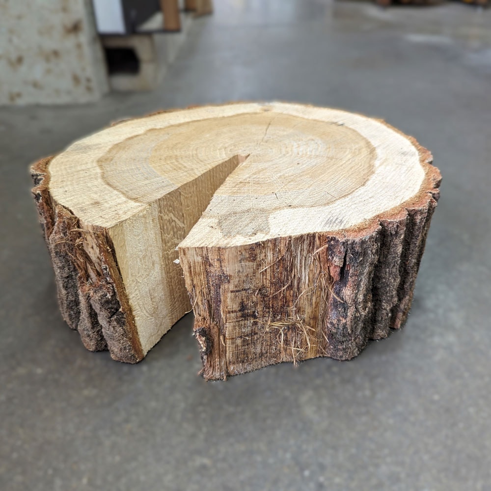 薪割り台 ナラ Φ30cm×高さ約10cm 切り株