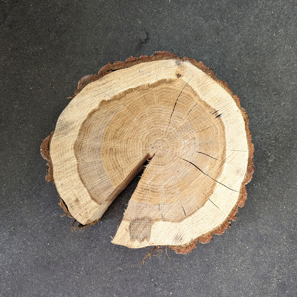 �ų���桡�ʥ顡����������߹⤵�󣱣�������ڤ��