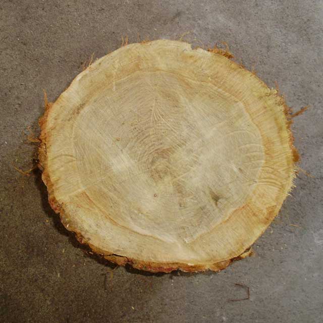 �ų���桡�ʥ顡����������߹⤵�󣲣����