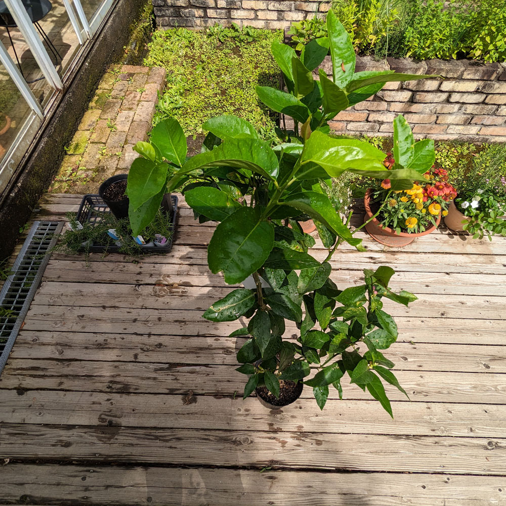 ��Ǽ���׳�ǧ�˥�������ڡ��ӥ�ե�󥫡ʤȤ��ʤ��ˡʥӥ��ե�󥫡ˡ���ǯ����������