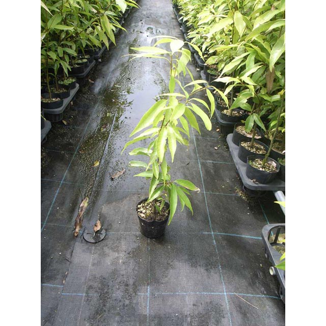 ���饫�������ڡ���������