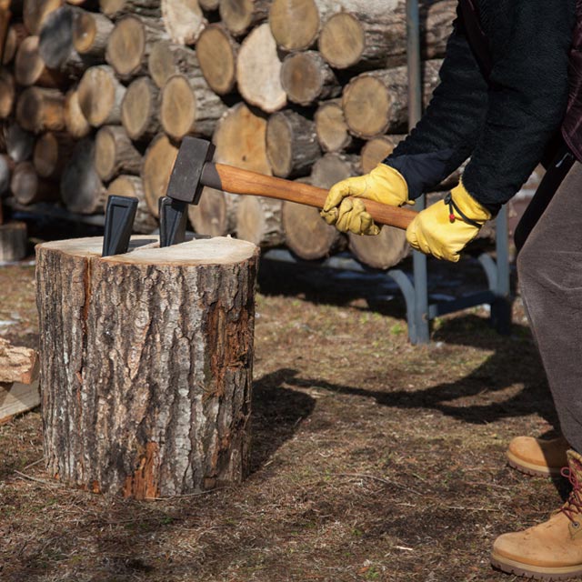 �ͤ��ꥯ����