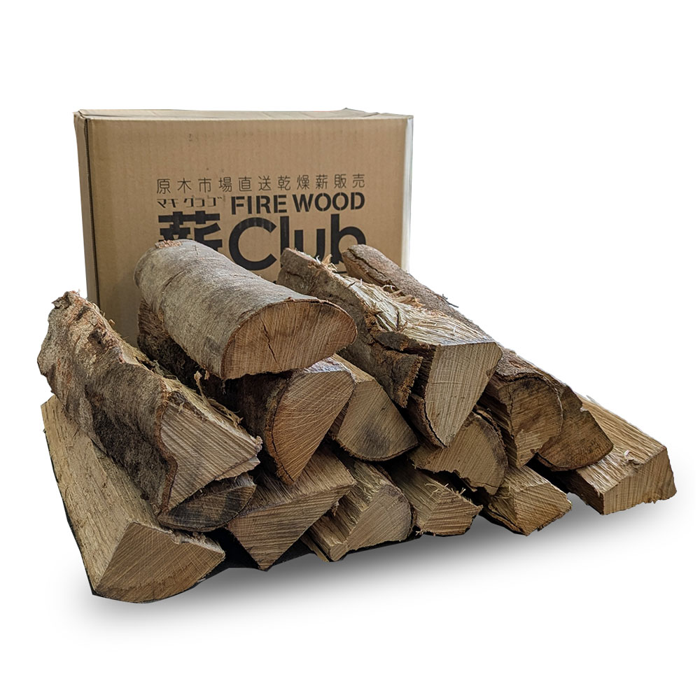 ��������ţ����������䡡�ӥܥå��� 13-14���