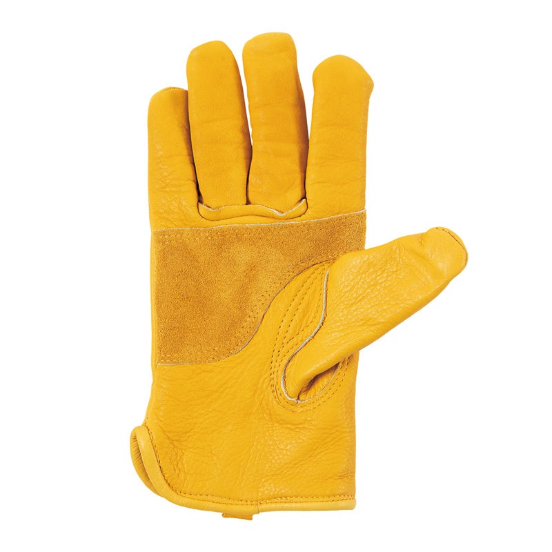 �إ륳�������֣̥�����