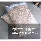 ���ʥ��������ȡ����ѡ��ץ�ߥ���ڥ�åȡ�������硡�޵�