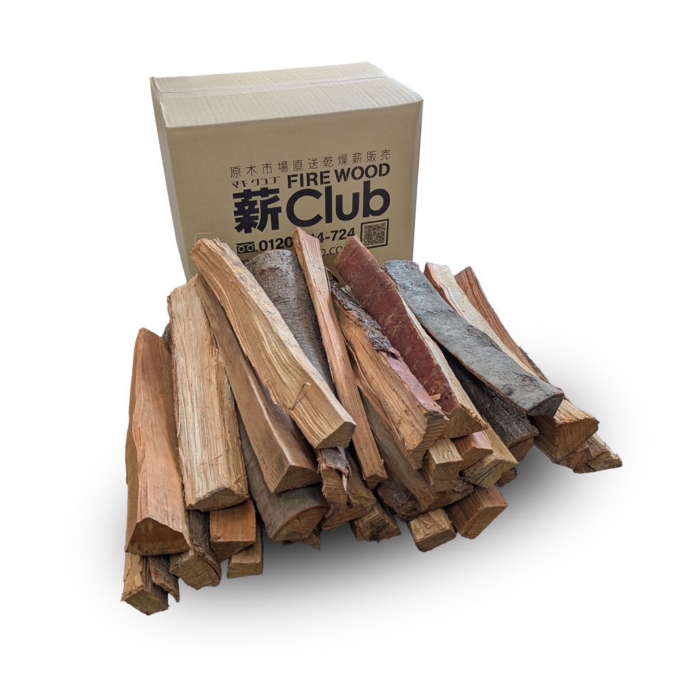 ȥΥߥåţٳ䡡ӥܥå 10-12