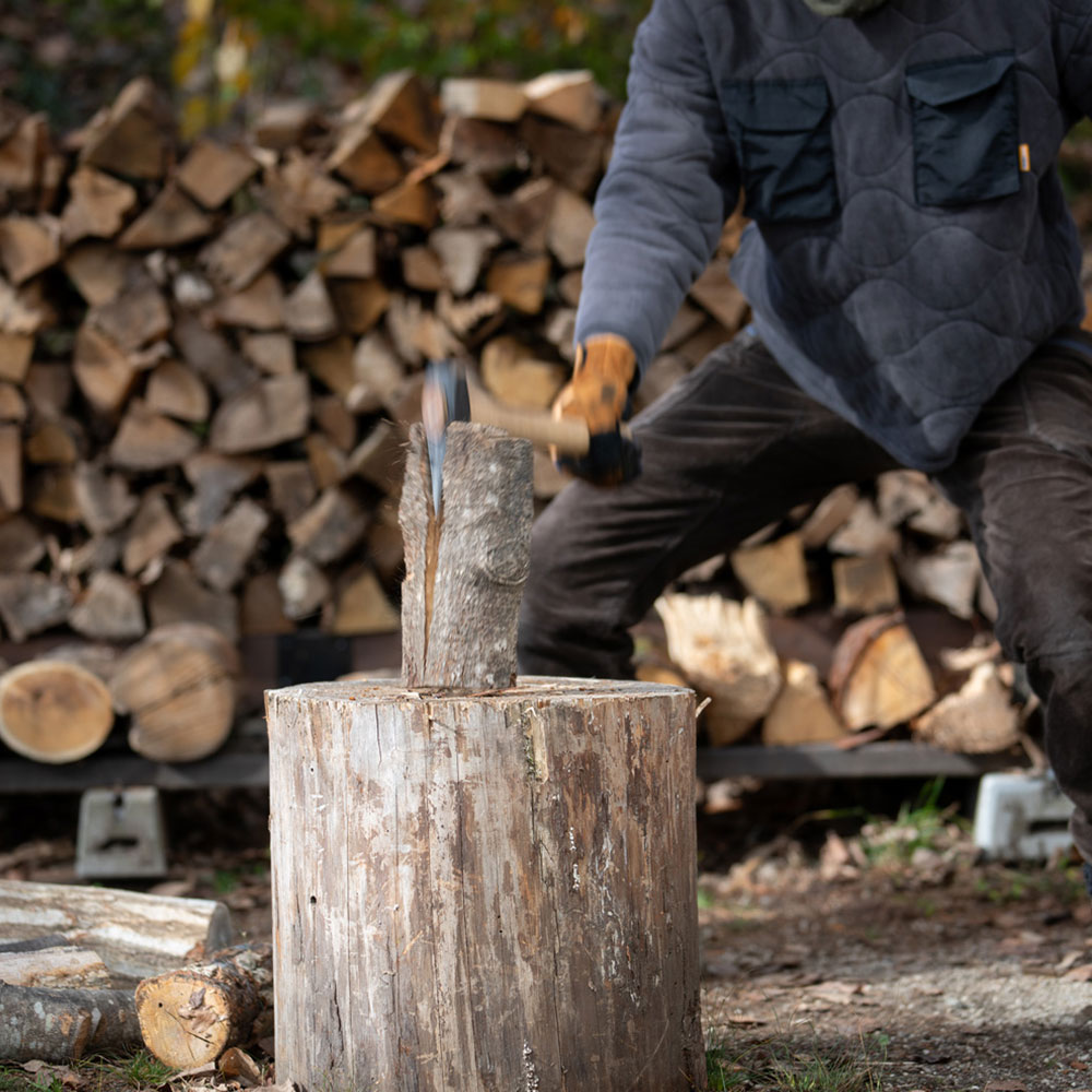 �ե����䡼�����ɡ��ϥ�ޡ����å���