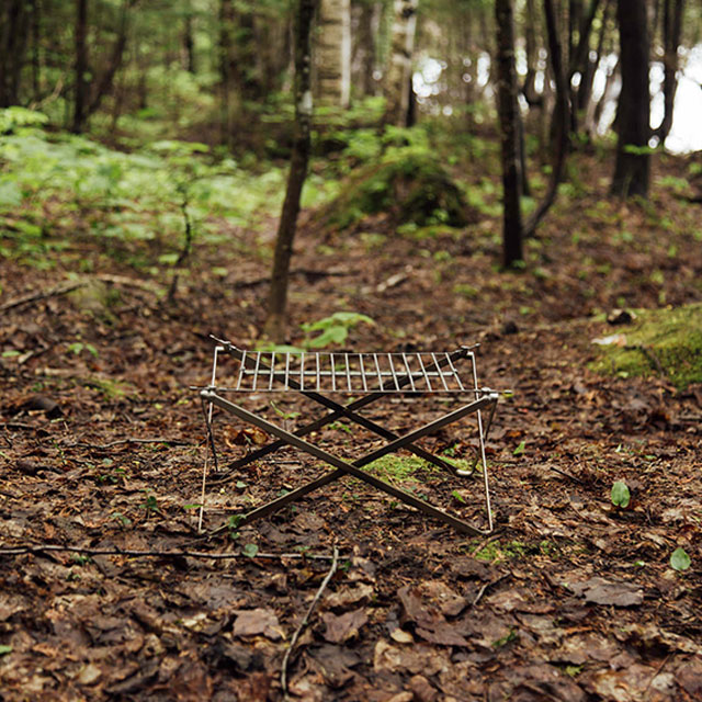 ����ե���ɥ��ꥺ�꡼������롡�ͣ������ǥ�����󡡣�����衡�ե����䡼���å�