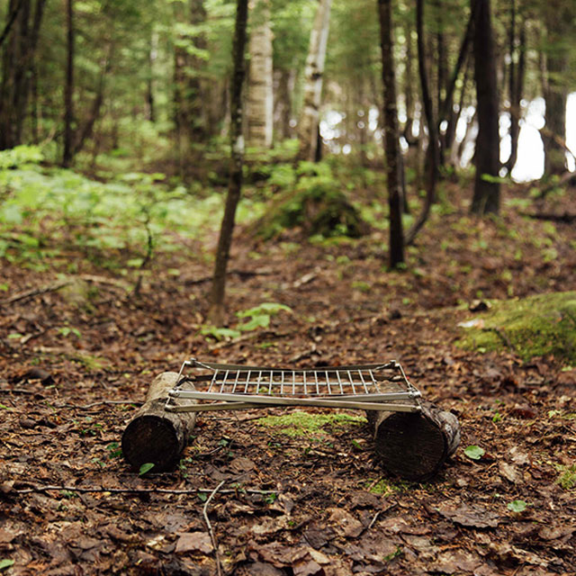 ����ե���ɥ��ꥺ�꡼������롡�ͣ������ǥ�����󡡣�����衡�ե����䡼���å�