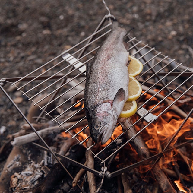 ����ե���ɥ��ꥺ�꡼������롡�ͣ������ǥ�����󡡣�����衡�ե����䡼���å�