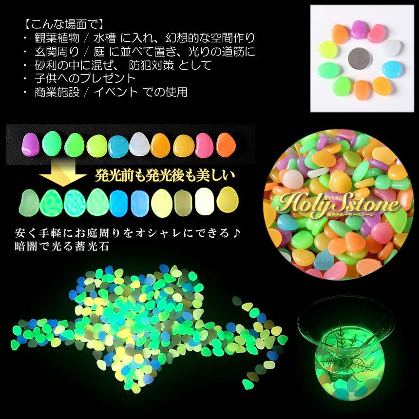 夜光石 ryukaexandgarden_mh-sg