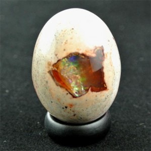 ♦天然石 古作 ヴィンテージ 手彫り 瑪瑙 寅 ループタイ 工芸品 骨董品 カスタムメイド】大理石カメオ【ウォールナット彫刻額入】 | 石のシンシア