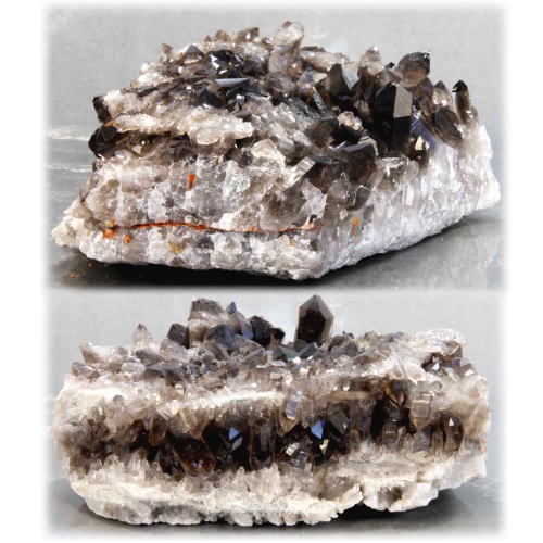 アーカンソー州産スモーキークラスター｜マライカ公式通販