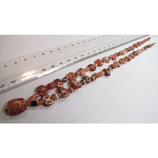 エッチトカーネリアン一連