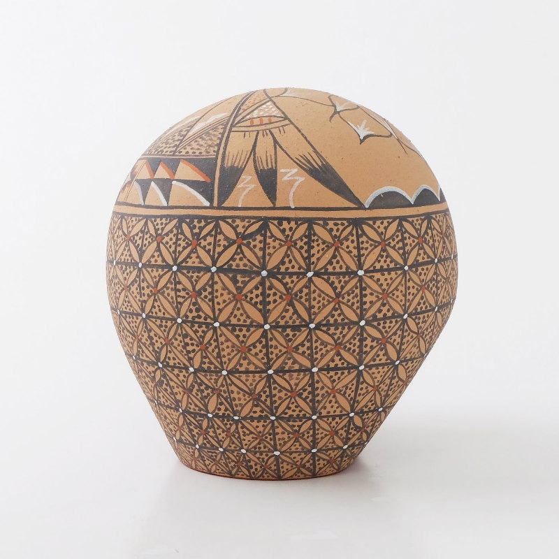 メルカリ便　メキシカンジャイアント錦　ポットごと へメス族シードポット｜マライカ公式通販