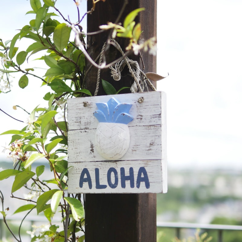 ハワイアンミニハンギング