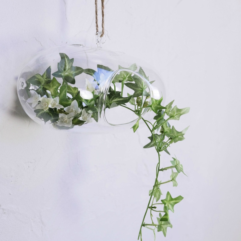 ガラスエアプランツハンギング