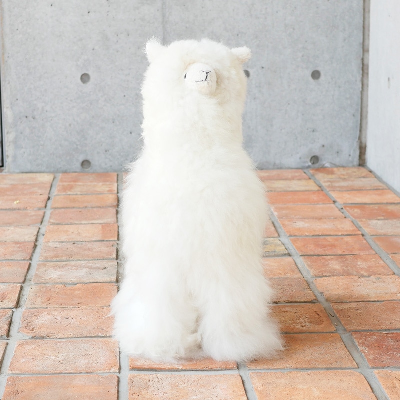 アルパカ 45cm｜マライカ公式通販