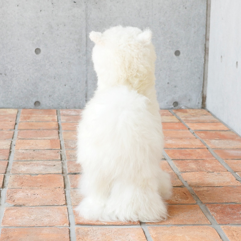 アルパカ 45cm｜マライカ公式通販
