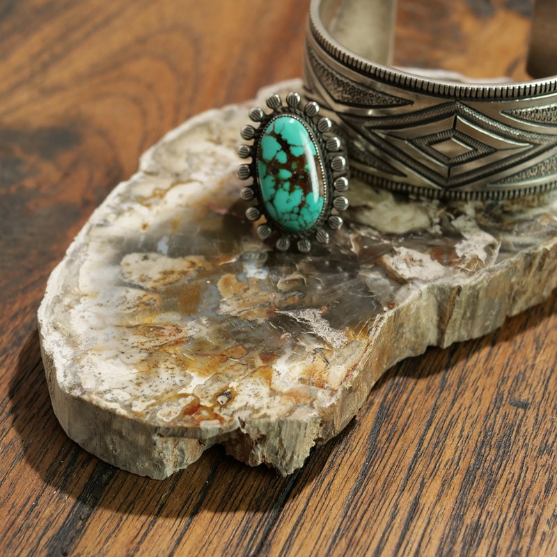 【匿名配送】化石 珪化木 ペトリファイドウッド スライス 珪化木スライス ペトリファイドウッド 木の化石｜マライカ公式通販