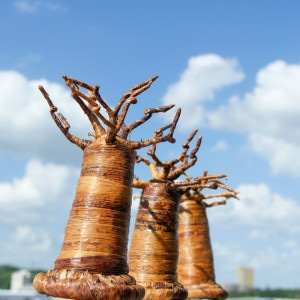 バオバブの木 小｜マライカ公式通販