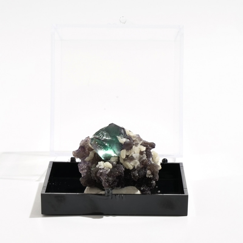 ナミビア・エロンゴ鉱山　フローライト原石　〈ケース付き〉