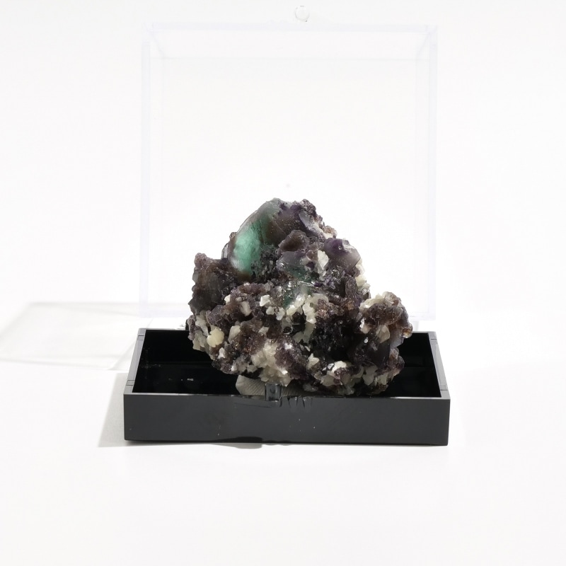 ナミビア・エロンゴ鉱山　フローライト原石　〈ケース付き〉