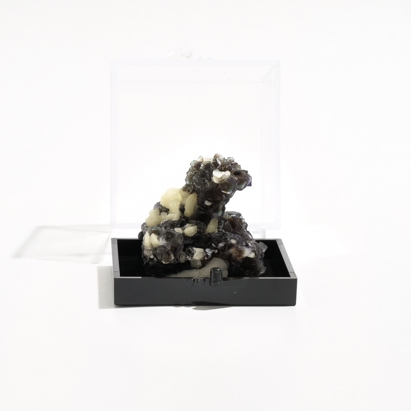 ナミビア・エロンゴ鉱山　フローライト原石　〈ケース付き〉