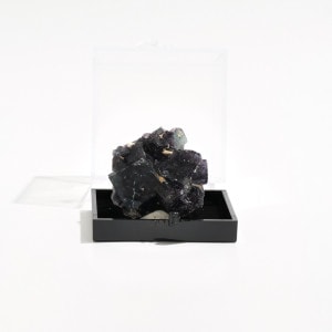 ナミビア・オコルス鉱山 フローライト原石 〈ケース付き〉｜マライカ