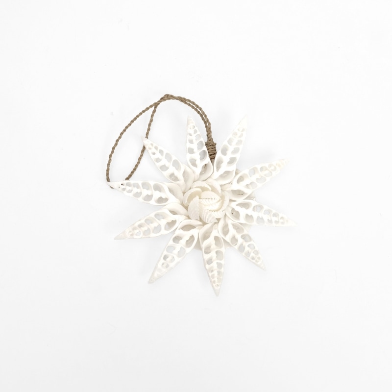 シェルハンギング