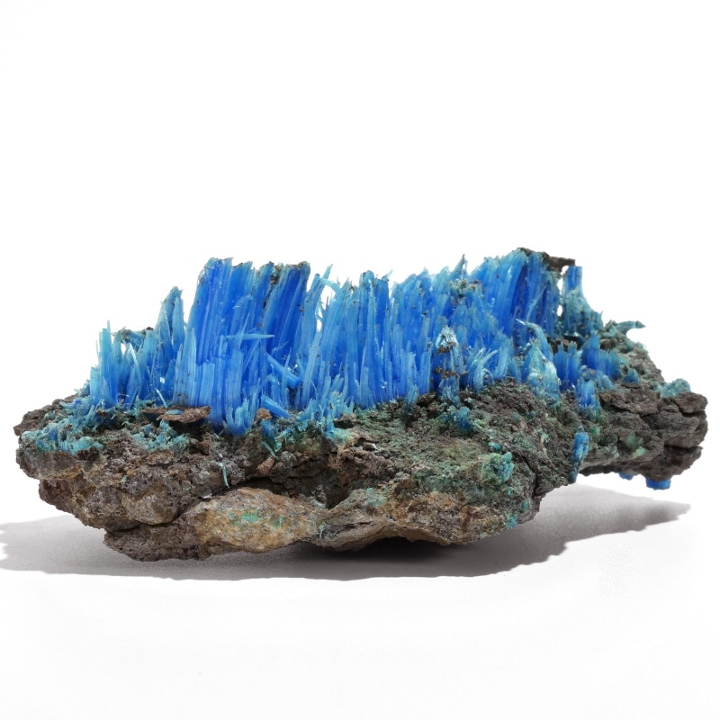 アンモライト標本 超特大｜マライカ公式通販