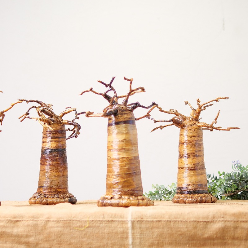 バオバブの木　中