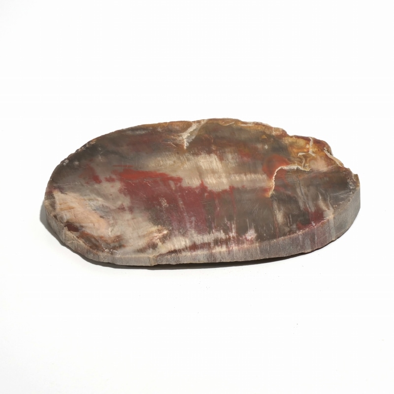 珪化木スライス｜マライカ公式通販