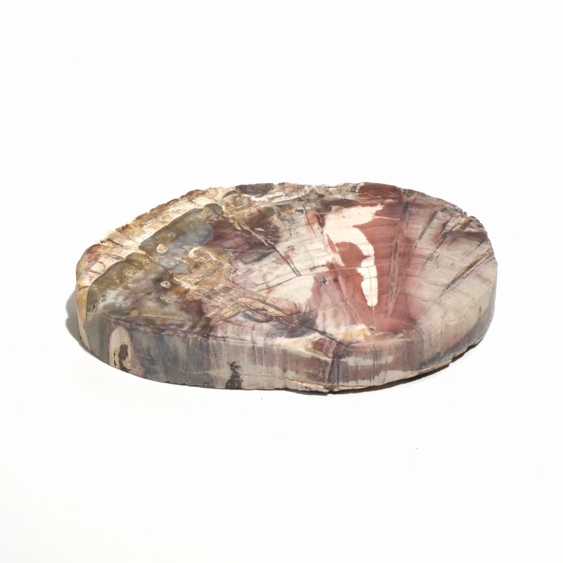 ⭐︎天然石　珪化木　スライス マダガスカル産 ペトリファイドウッド ( 珪化木 ) スライス