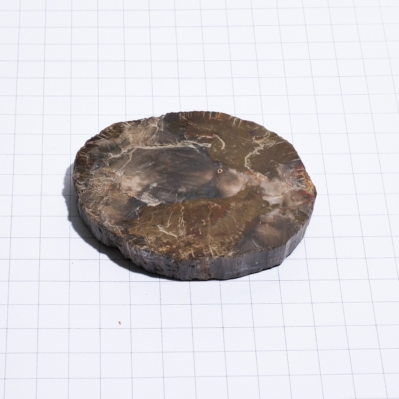 珪化木スライス ペトリファイドウッド 木の化石｜マライカ公式通販